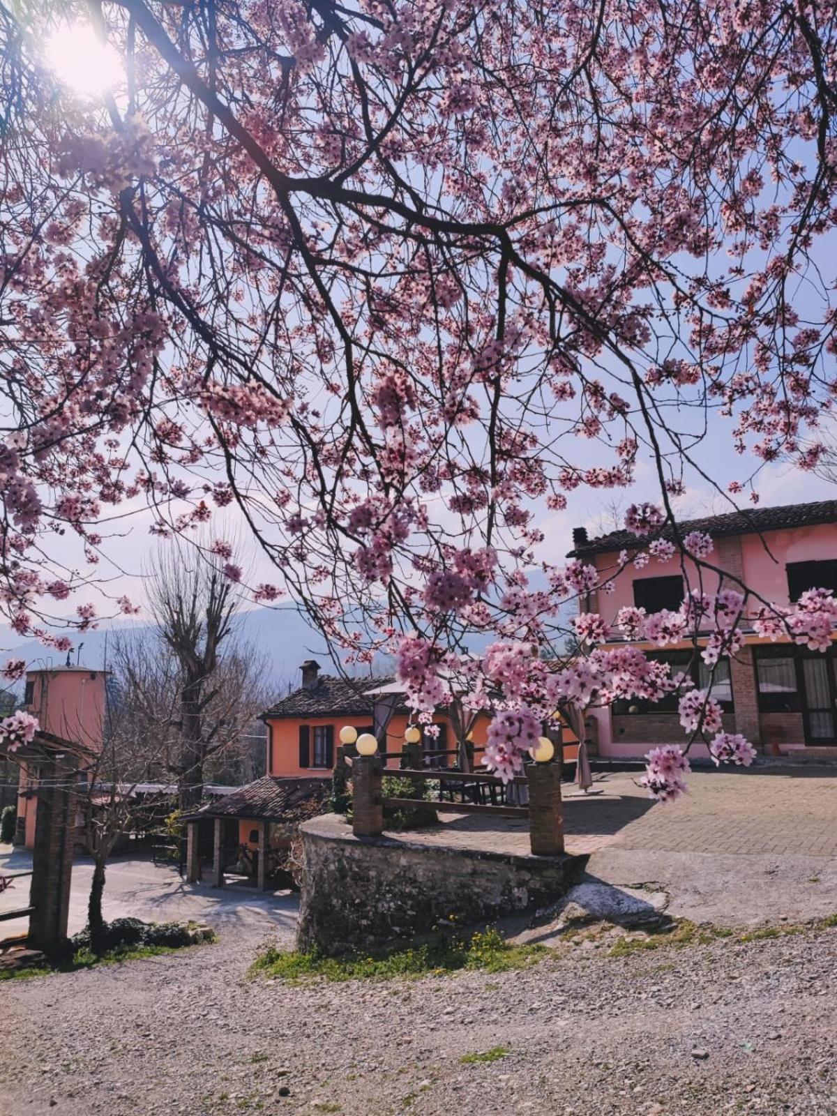 Agriturismo Villa Enrichetta Bettola  Exterior photo